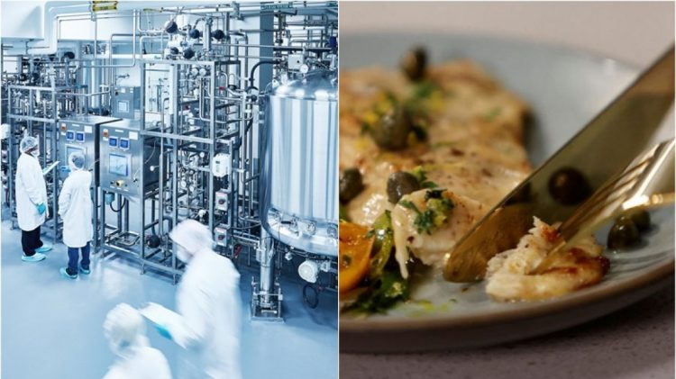 Një epokë e re, mishi i prodhuar në laborator merr miratimin për shitje në SHBA