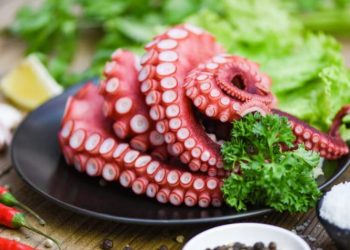 A ka përfitime nga ngrënia e oktapodit?