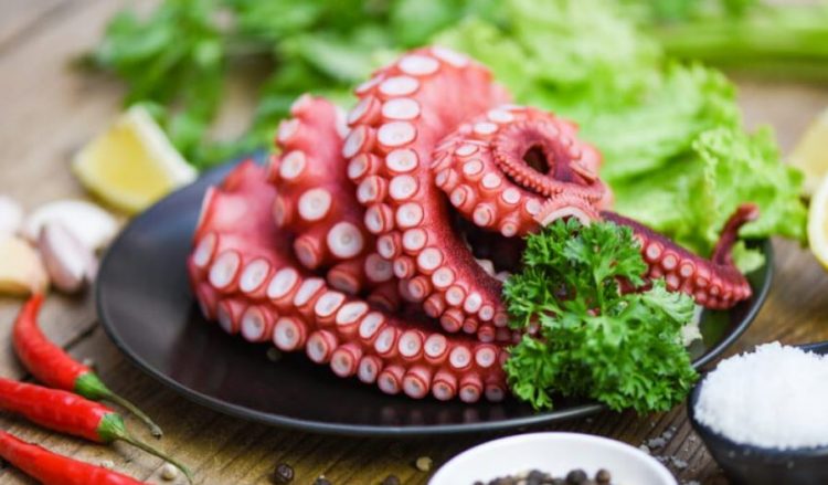 A ka përfitime nga ngrënia e oktapodit?