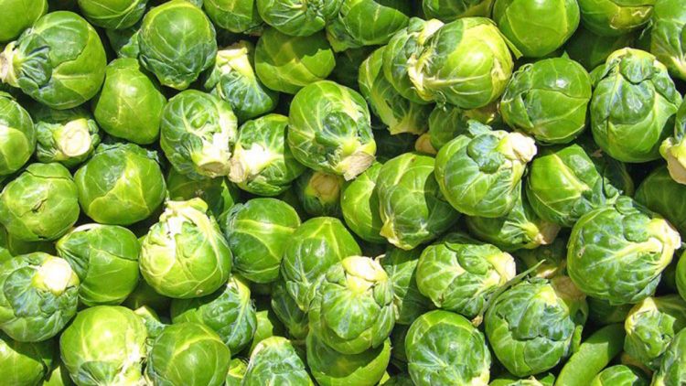 Cilat janë perimet që pengojnë sëmundjet e zemrës