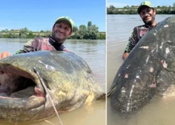 Peshkatari thyen rekordin botëror, kap peshkun me gjatësi 2.85 metra