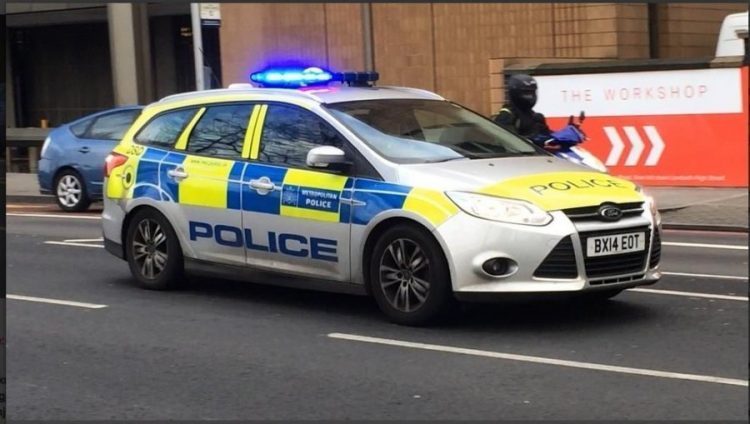 Furrën e bukës e kthyen në fermë kanabisi, arrestohet 4 shqiptarë