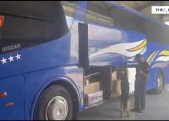 U kap me 100 mijë euro në autobusin/ Arrest me burg për shoferin e linjës Bari-Durrës