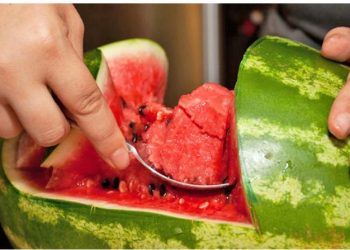 Çfarë ndodh me trupin nëse konsumoni shalqi