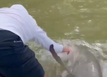 Po lante duart, peshkatarit i ndodh e keqja në çast (VIDEO)