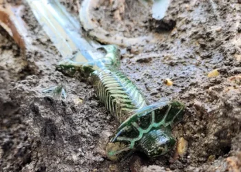 Shpata 3000-vjeçare zbulohet në Gjermani