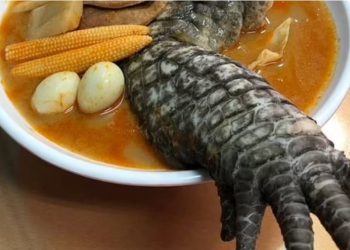 Supë me këmbë krokodili, shërbehet në restorantin tajvanez