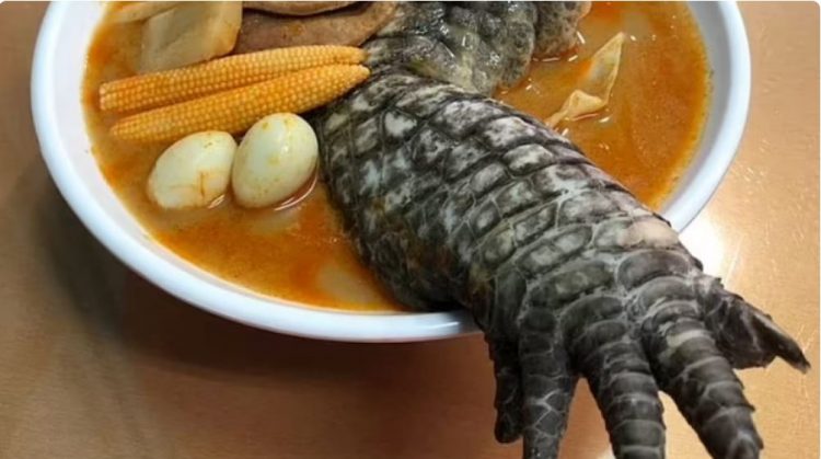Supë me këmbë krokodili, shërbehet në restorantin tajvanez
