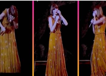 VIDEO/ Insekti guxoi t’i afrohej Taylor Swift, pa e menduar se i prishi koncertin