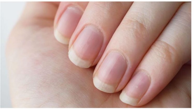 Thonjtë mund ta tregojnë fare mirë moshën tonë, por si?