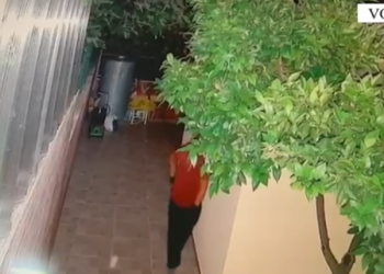 La një sasi tritoli në oborrin e një banese që të arrestohej pronari, pranga 44-vjeçarit