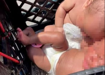 Kishte futur binjakët në një arkë pas biçikletës/ Kapet 36-vjeçarja: Nuk e shoh të rrezikshme për fëmijë 2 muajsh