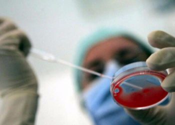 Interesante apo jo, shkencëtarët krijojnë embrionin njerëzor sintetik