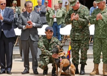 Shpëtuan 4 fëmijët e humbur në xhungël, Presidenti i Kolumbisë u jep medalje 86 ushtarëve