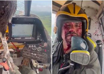 VIDEO/ Shpendi i madh përplaset me aeroplanin, mbulon me gjak pilotin