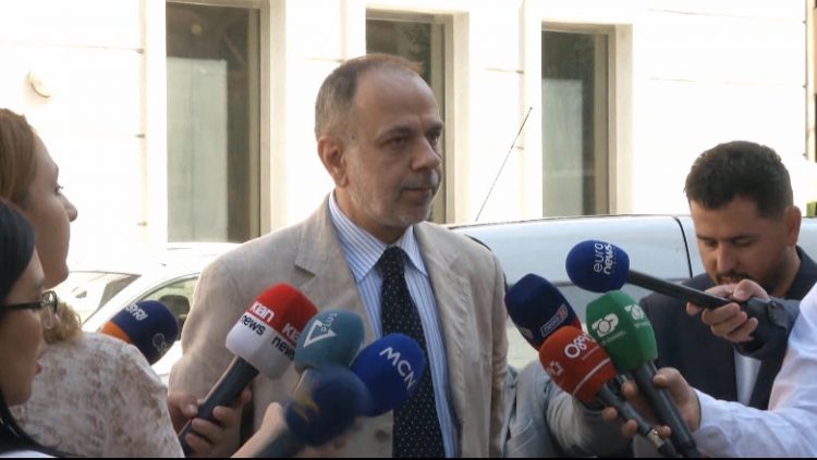 Zgjedhjet në PD, Hani pas votimit: S’kisha mundësi të bëja fushatë…