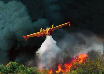VIDEO/ Piloti zhytet frikshëm mes maleve të djegura