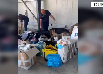 Mallra të padeklaruara nga Italia në Shqipëri, arrestohet shoferi