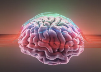 Aktivitet që duhet të bëni për të parandaluar plakjen e trurit