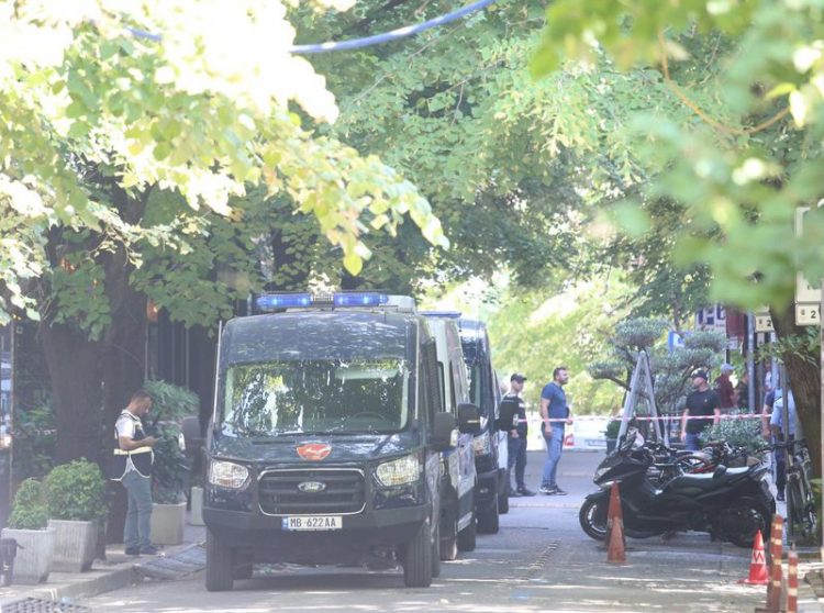 RENA dhe FNSH në Nikël dhe Tapizë, disa të shoqëruar