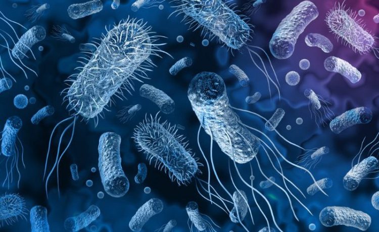 Rikthehet sëmundja e rëndë në Itali, për herë të parë pas 50 vitesh