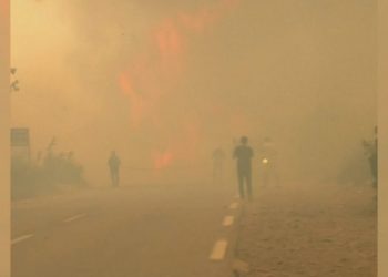 Afrika pushtohet nga zjarret, shumë viktima në Algjeri