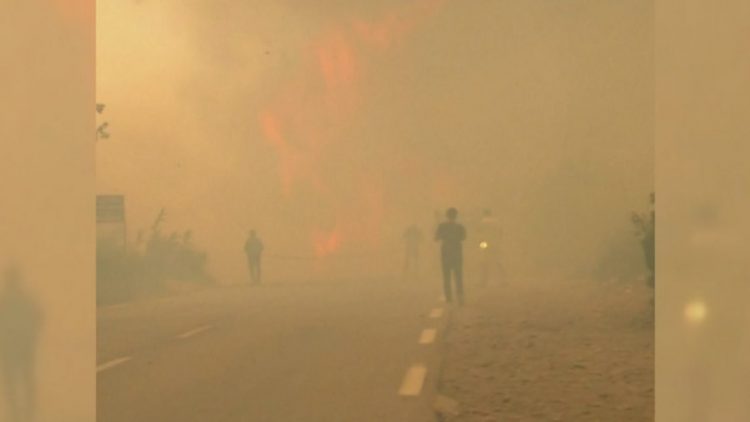 Afrika pushtohet nga zjarret, shumë viktima në Algjeri