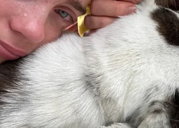 Këngëtarja e famshme njofton ndarjen nga jeta të shoqes së saj