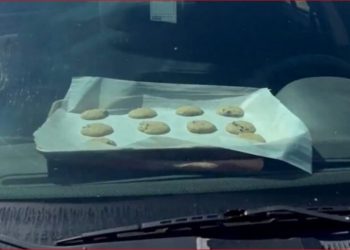 “S’ka nevojë për furrë”, vapa jep efekt ndaj biskotave