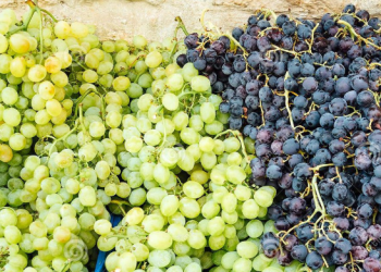 Rrushi i bardhë apo i zi?