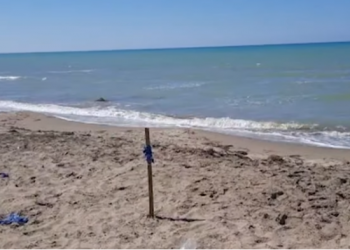 Tragjedi/ Mbytet babai dhe 2 fëmijët e mitur në Kavajë