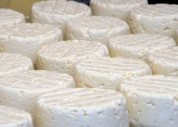 3 ton djathë kontrabandë me kamion, arrestohet doganieri dhe shoferi