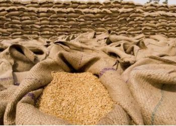 “Skadimi i marrëveshjes për drithërat do jetë fatal për shumë njerëz”