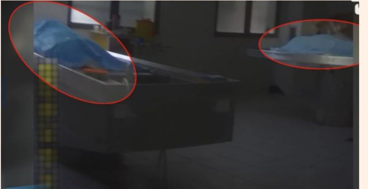 Pamje horror në Morgun e Tiranës, trupa të dekompozuar prej tre vitesh