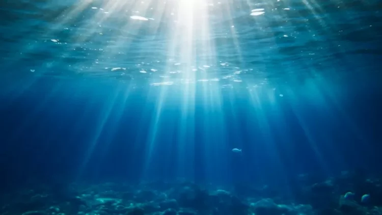 Shkencëtarët paralajmërojnë: Në vitin 2025, rryma e Gulf Stream…