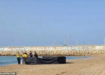 E tmerrshme/ Gjendet trupi pa kokë i fëmijës tre vjeç