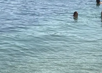 E mitura rrezikon të mbytet, turistët bëjnë mrekullinë në Shëngjin