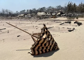 Zjarret në Greqi/ Dëmi në Rodos, i përmasave biblike