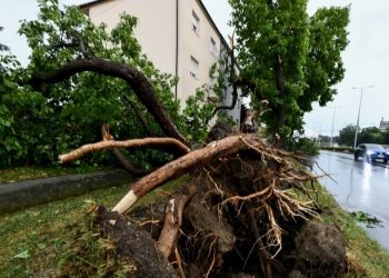 Stuhia me erë dhe shi godet Ballkanin! Pesë të vdekur