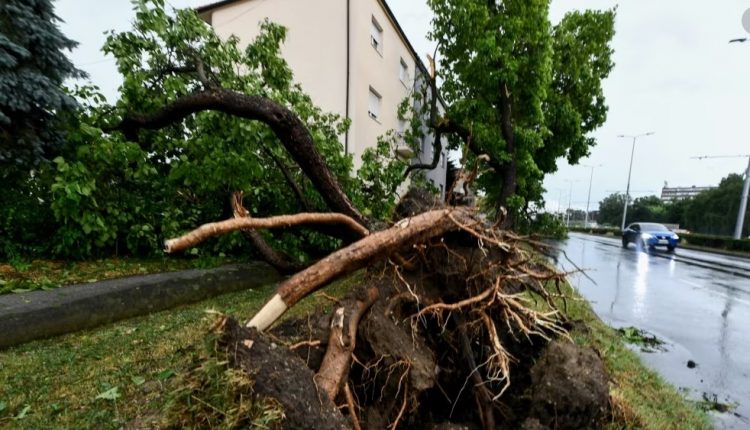 Stuhia me erë dhe shi godet Ballkanin! Pesë të vdekur