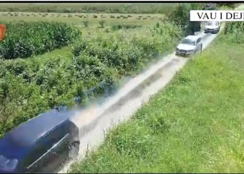 VIDEO/ Asgjesohen 810 bimë kanabis, arrestohet 30-vjeçari