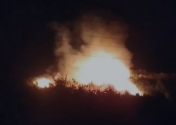 Përfshihet nga flakët ullishtja në Rroshnik