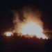Përfshihet nga flakët ullishtja në Rroshnik