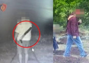 VIDEO/ Roje me shotgun, ja si ruhen parcelat e kanabisit…