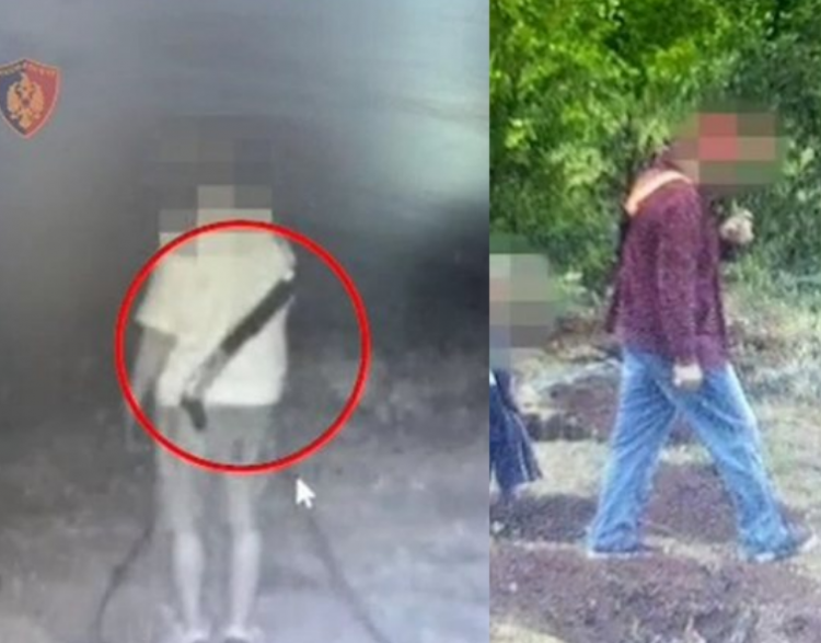 VIDEO/ Roje me shotgun, ja si ruhen parcelat e kanabisit…