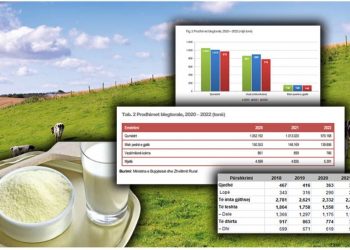 Shqipëria rrezikon të mbetet pa bagëti, rënie me 40%! Qumështi pluhur pushton marketet, shteti nuk e takson