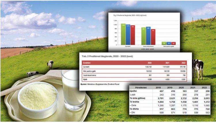 Shqipëria rrezikon të mbetet pa bagëti, rënie me 40%! Qumështi pluhur pushton marketet, shteti nuk e takson