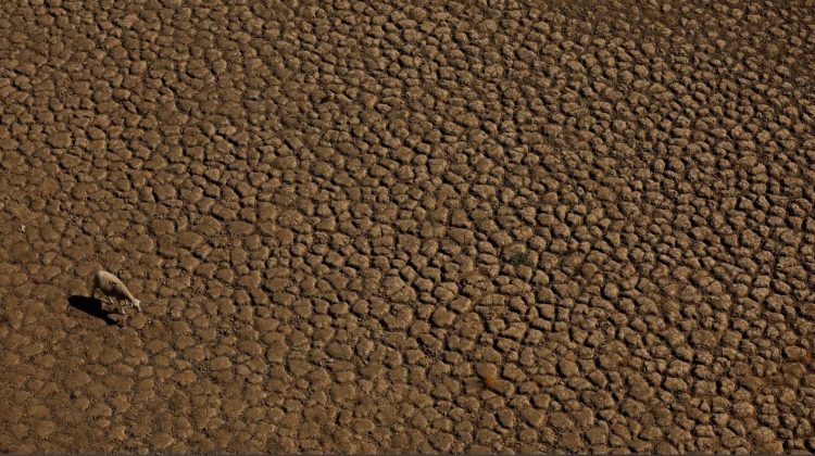 Bota shënon temperatura rekorde në tokë dhe dete