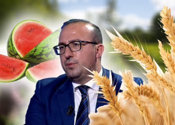 (Video) Surprizues si gjithmonë, Koreshi tregon arsyen se pse shkoi me një buqetë me grurë në Kuvend