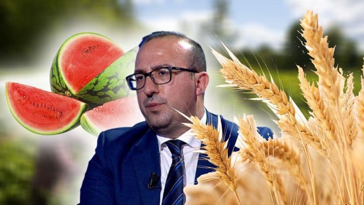 (Video) Surprizues si gjithmonë, Koreshi tregon arsyen se pse shkoi me një buqetë me grurë në Kuvend